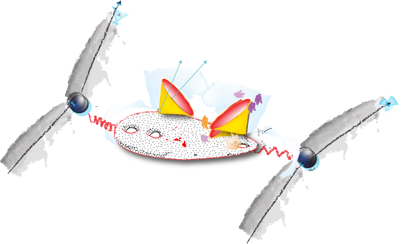 FisTeorica