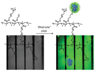 Graphical abstract: Clickable hydrogels for all: facile fabrication and functionalization