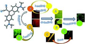 Graphical abstract: Polymorphism-dependent aggregation induced emission of a pushpull dye and its multi-stimuli responsive behavior