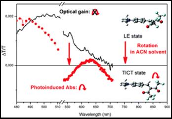 Graphical abstract: Long-living optical gain induced by solvent viscosity in a pushpull molecule