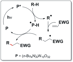 Radical conjugate addition reaction