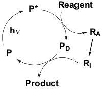 The photocatalytic scheme